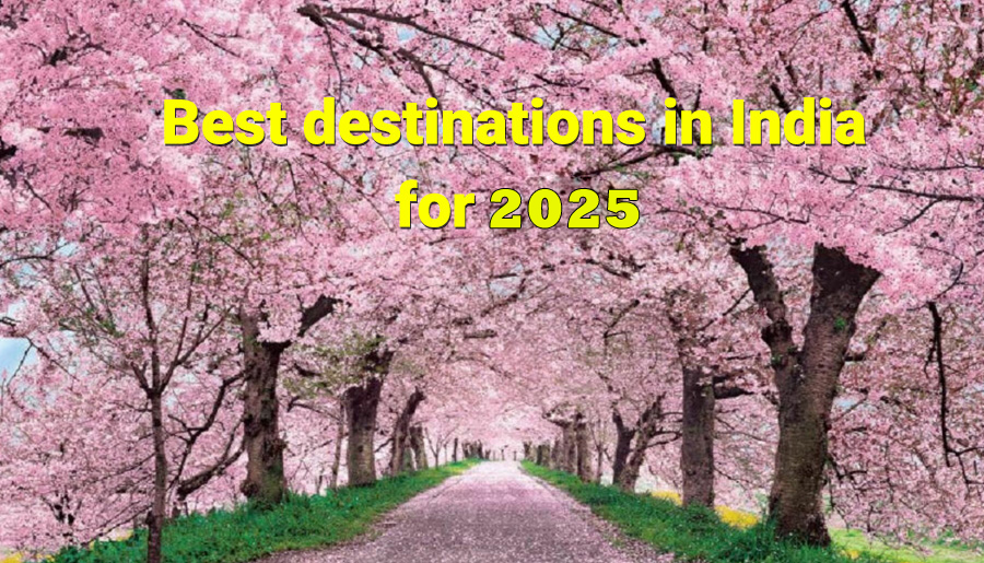 Best destinations in India for 2025